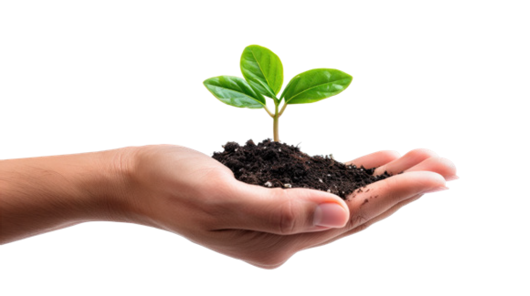 يد تحمل نبتة